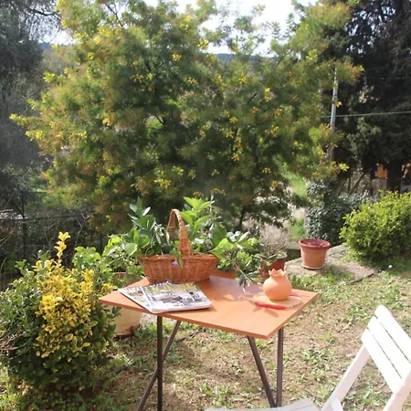 Apartmán Olive Luxouri