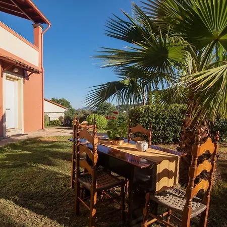 Apartamento Olive Luxouri