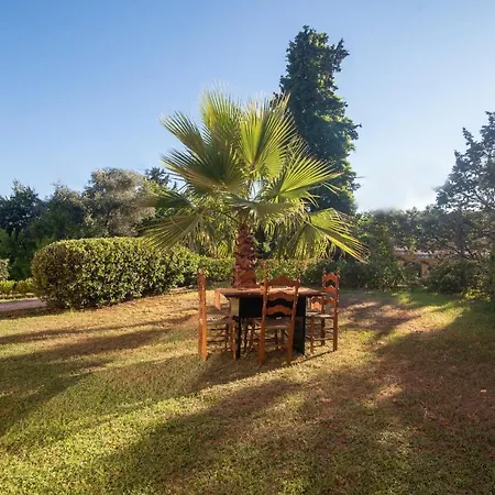 Apartamento Olive Luxouri Gazátika